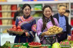 我国农产品网络零售额持续增长