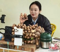 统战聚力 江西玉山激活云端“共富链”